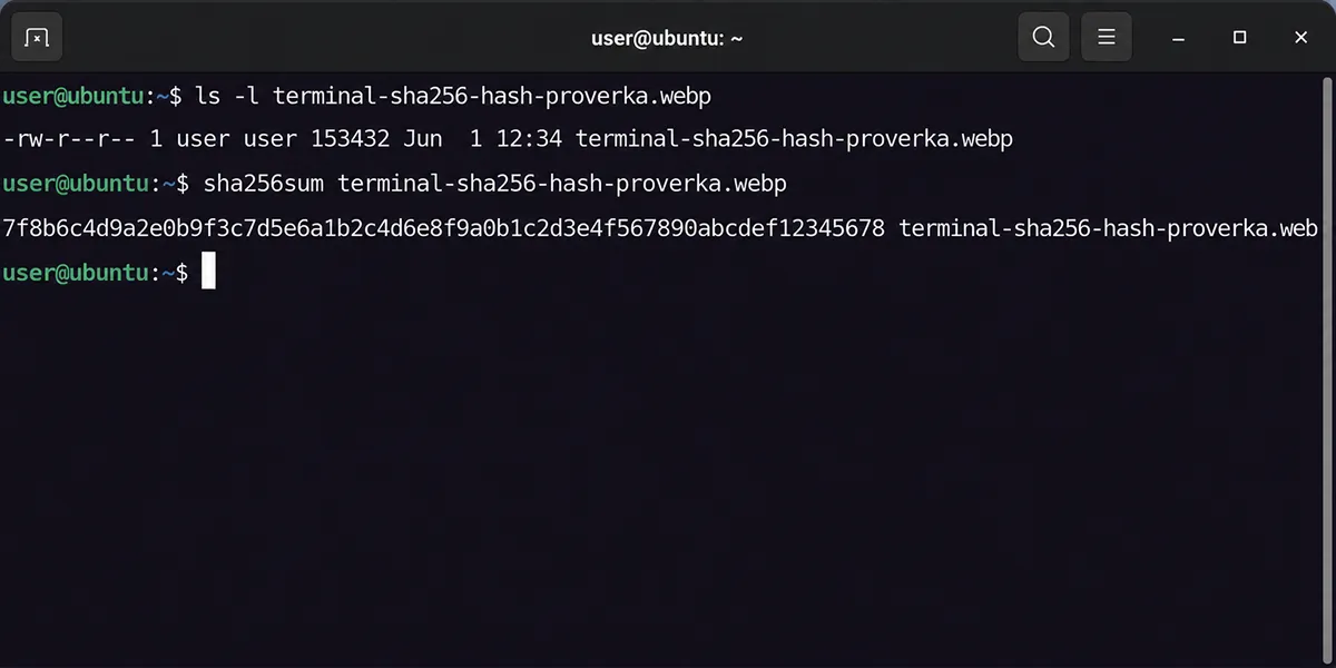 Терминала с результатом команды sha256sum (или Get-FileHash) — хеш файла на экране Проверка контрольной суммы SHA-256 файла в терминале
